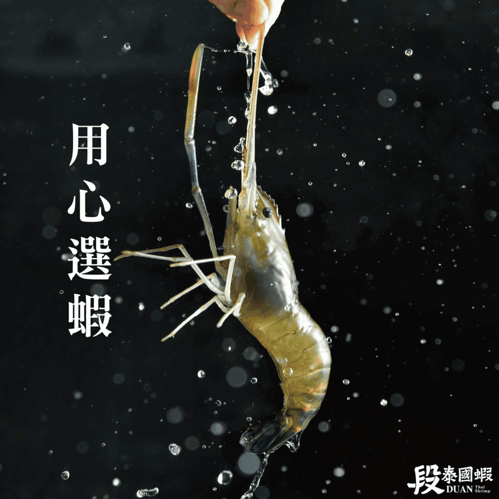 泰國蝦哪裡買?段泰國蝦就是買泰國蝦的最佳選擇!