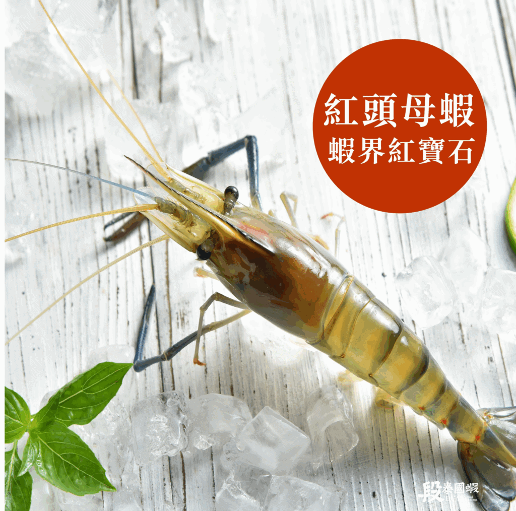 只有紅頭母蝦才有蝦卵